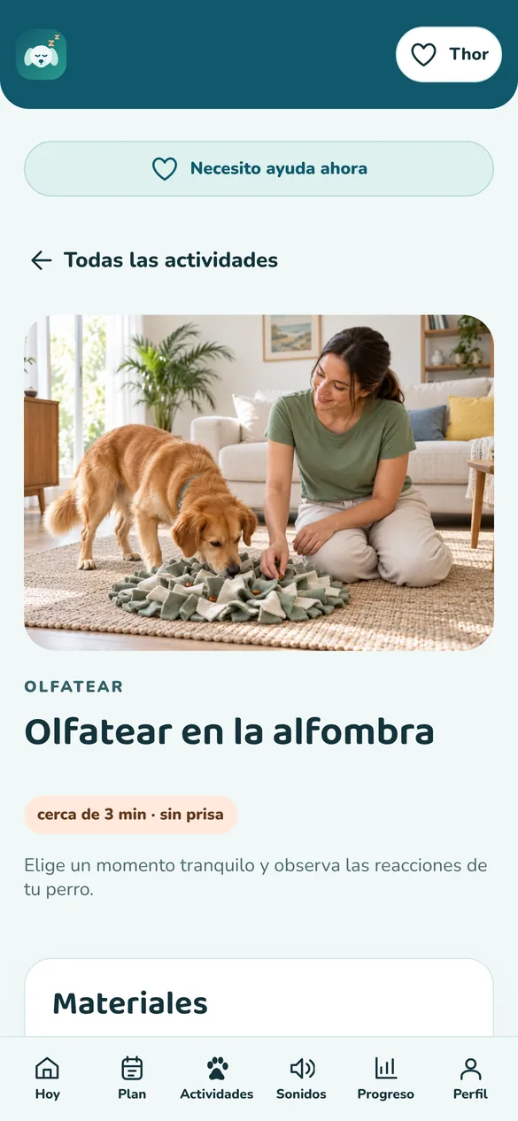 Pantalla real: actividad paso a paso