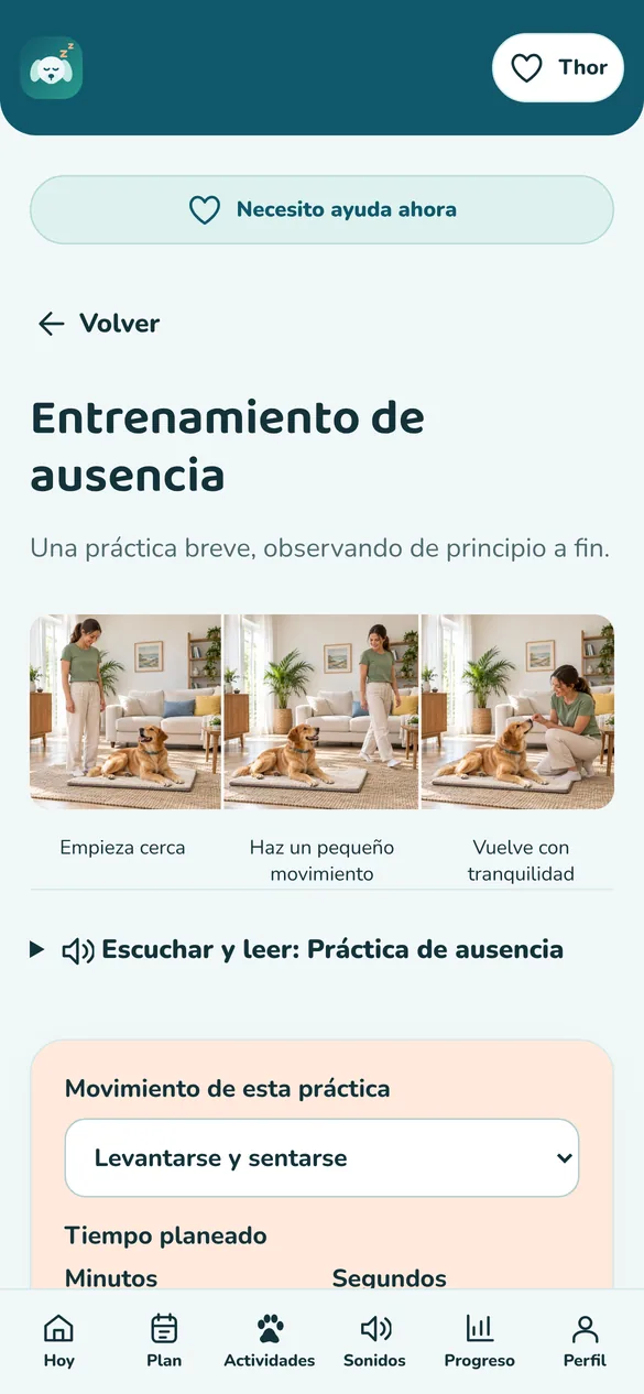 Pantalla real: entrenamiento de ausencia