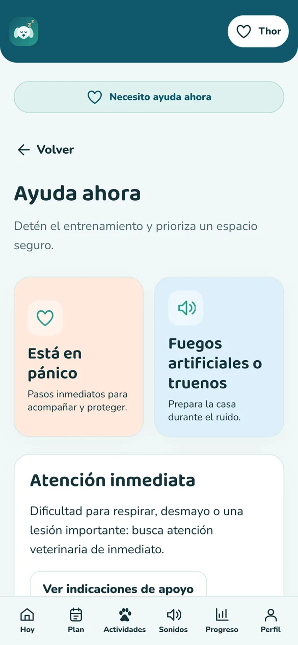 Pantalla real: ayuda ahora